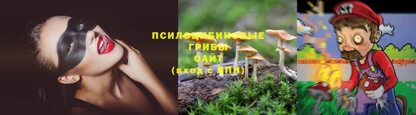 а пвп мука Богданович