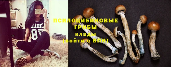 Альфа ПВП Богородицк